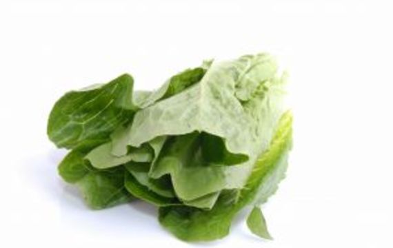 Romaine lettuce