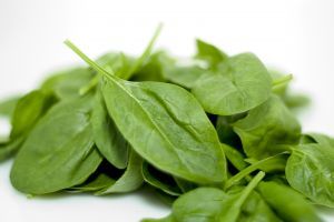 Spinach - picture no. 1