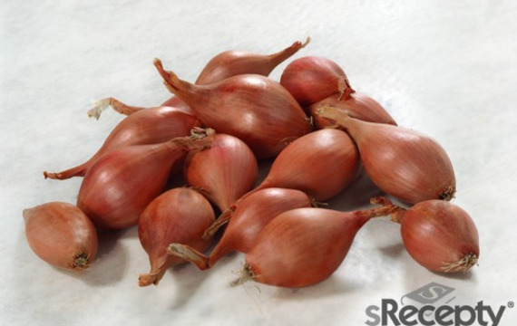 Shallot
