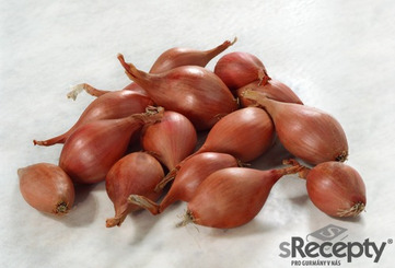 Shallot - picture no. 1