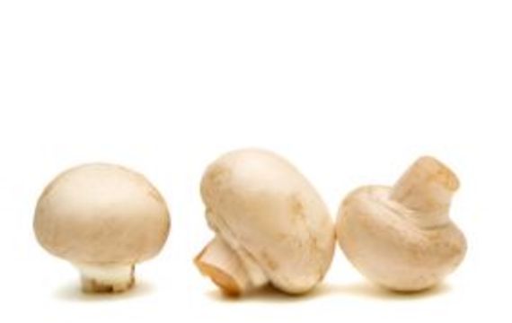 Champignon