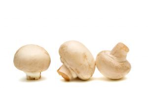 Champignon - picture no. 1