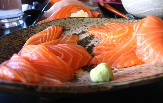 Salmon