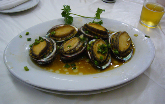 Oyster
