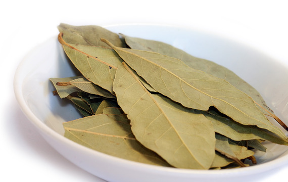 Bay leaf