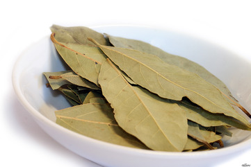 Bay leaf - picture no. 1
