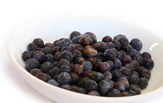 Juniper