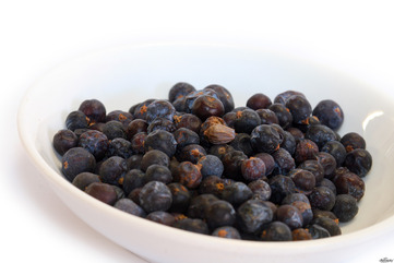 Juniper - picture no. 1