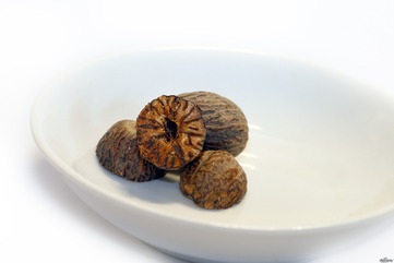 Nutmeg - picture no. 1