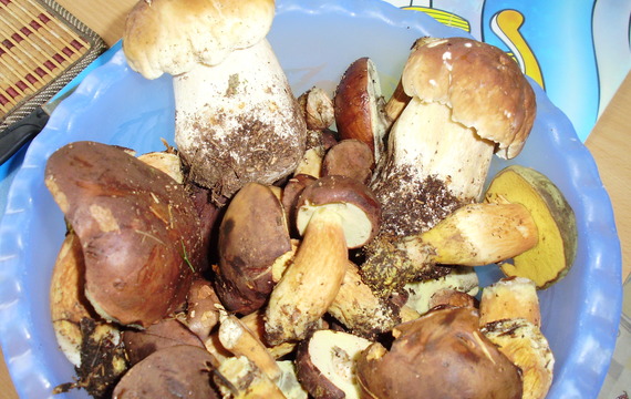 Mushrooms