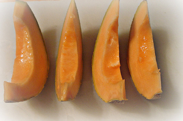 Kantalup - picture no. 2