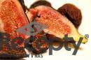 Figs - picture no. 2