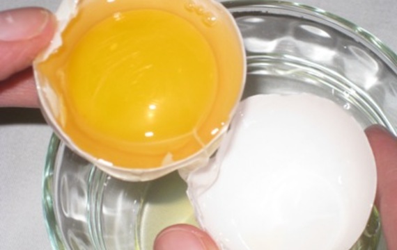 Egg white