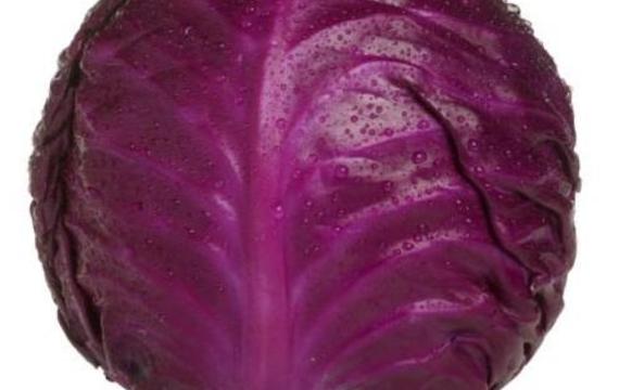 Red cabbage