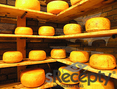 Hard cheese - picture no. 1