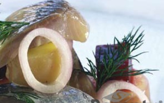 Herring