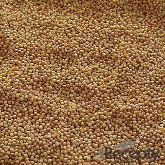 Millet - picture no. 2