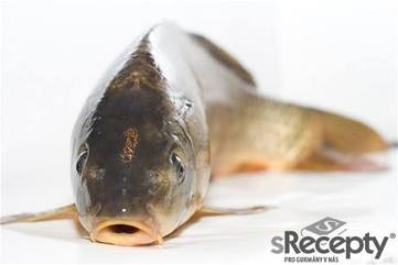 Freshwater fish - picture no. 1