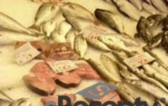 Sea fish