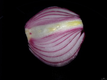 Red onion - picture no. 1