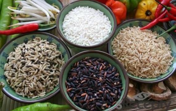 Rice
