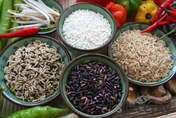 Rice - picture no. 1