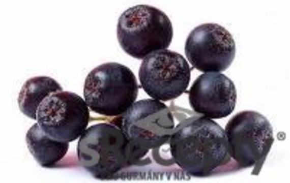 Aronia