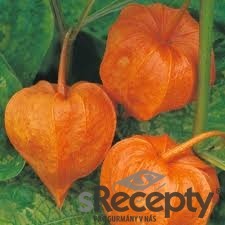 Physalis - picture no. 2