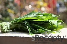 Wild garlic - picture no. 1