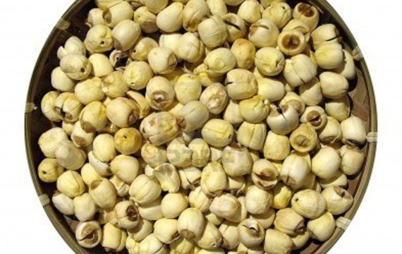 Lotus seed