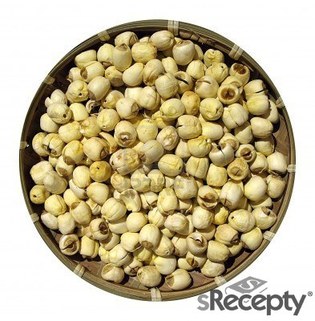 Lotus seed - picture no. 1