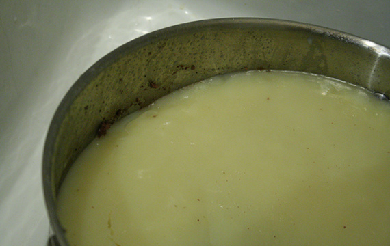 Tallow